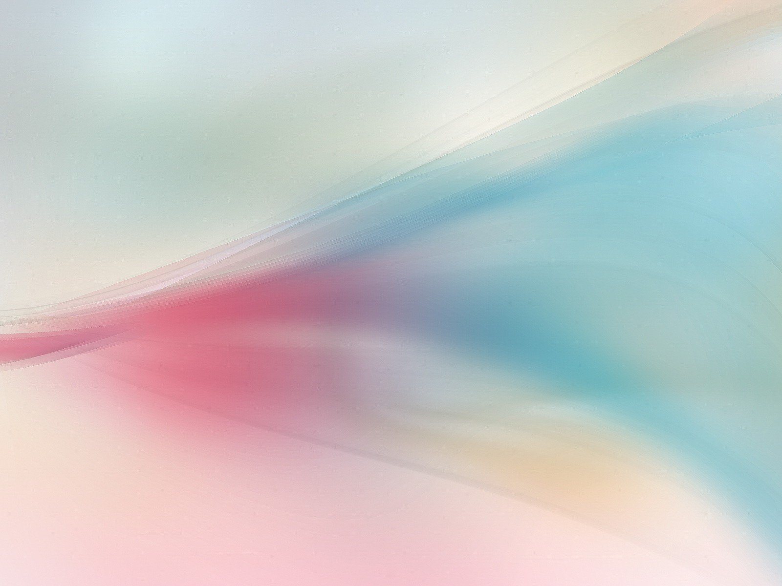 flowers background feed