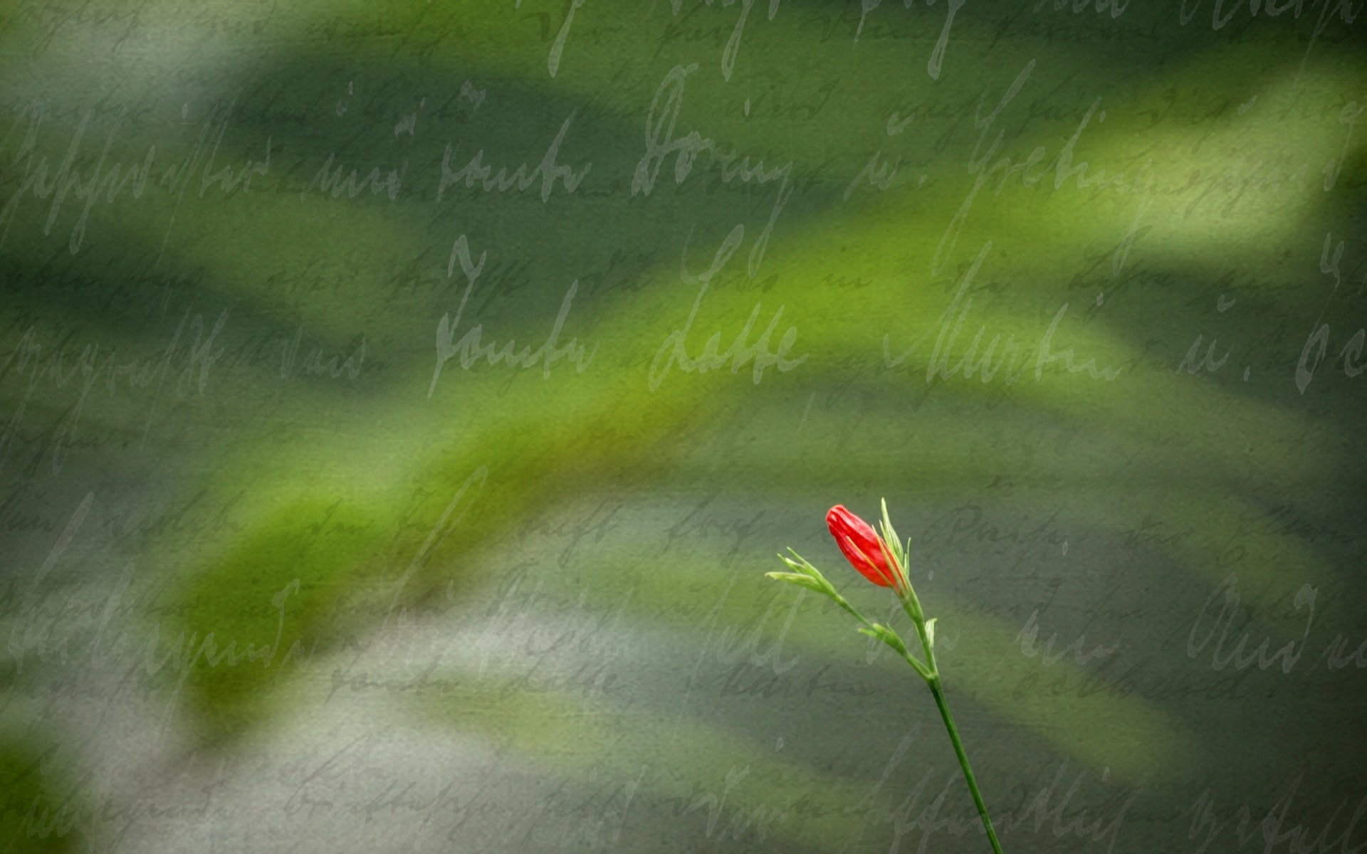 flower inscription style background