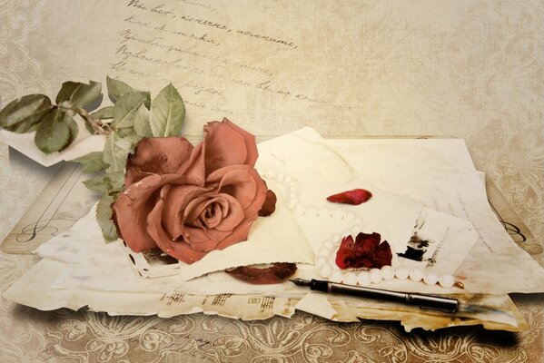 The rose lies on the letter and the notes