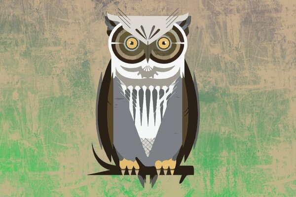 Owl bird on a branch wallpaper