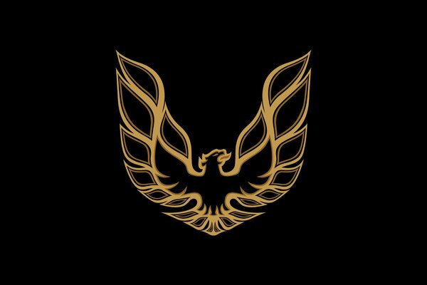 Yellow drawing of a phoenix silhouette on a black background