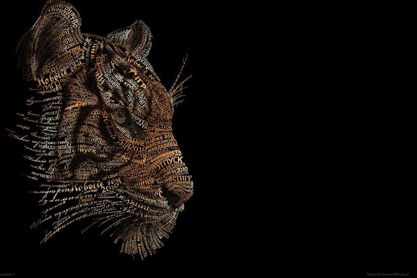 Photo of a tiger on a black background