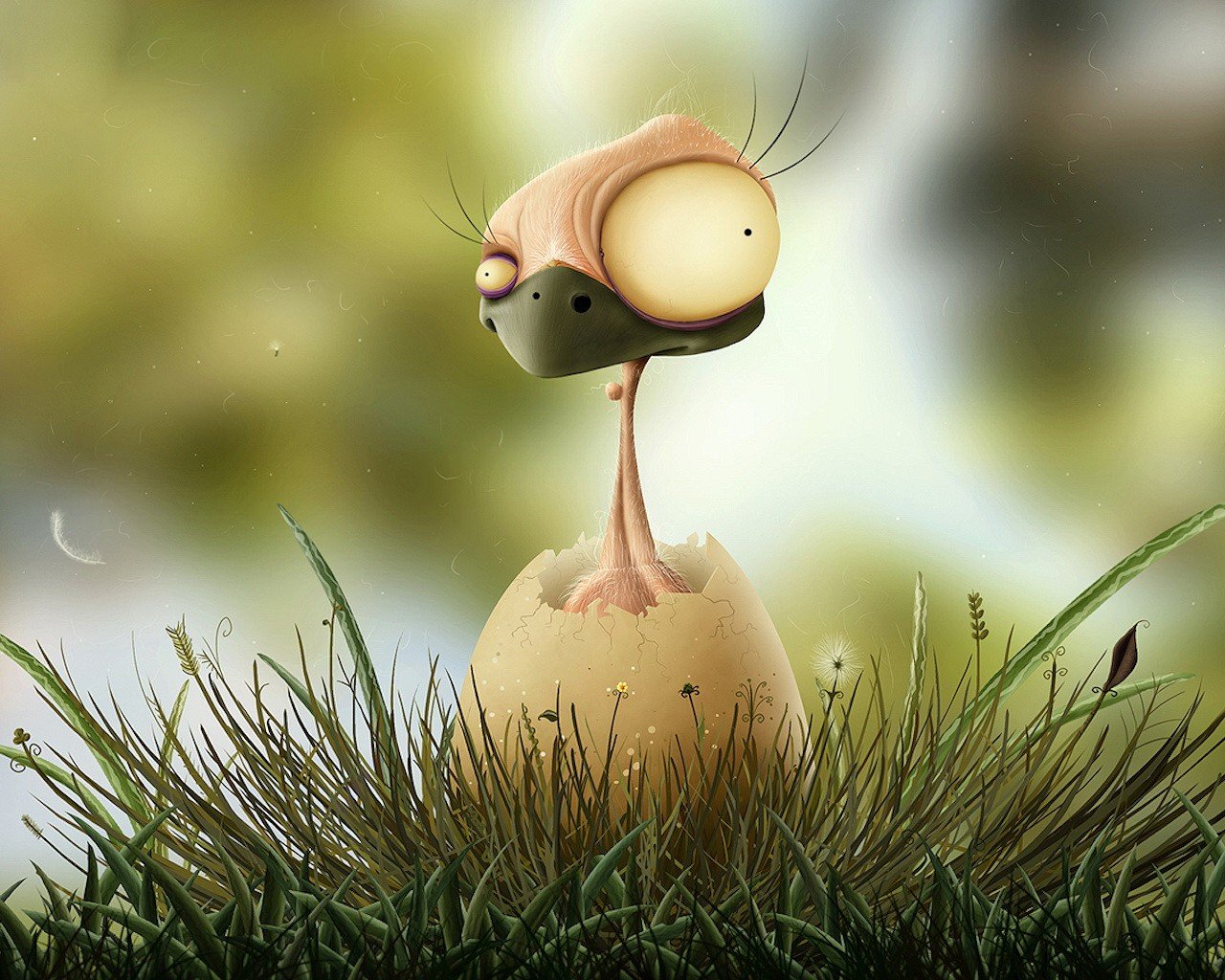 mood wallpapers egg
