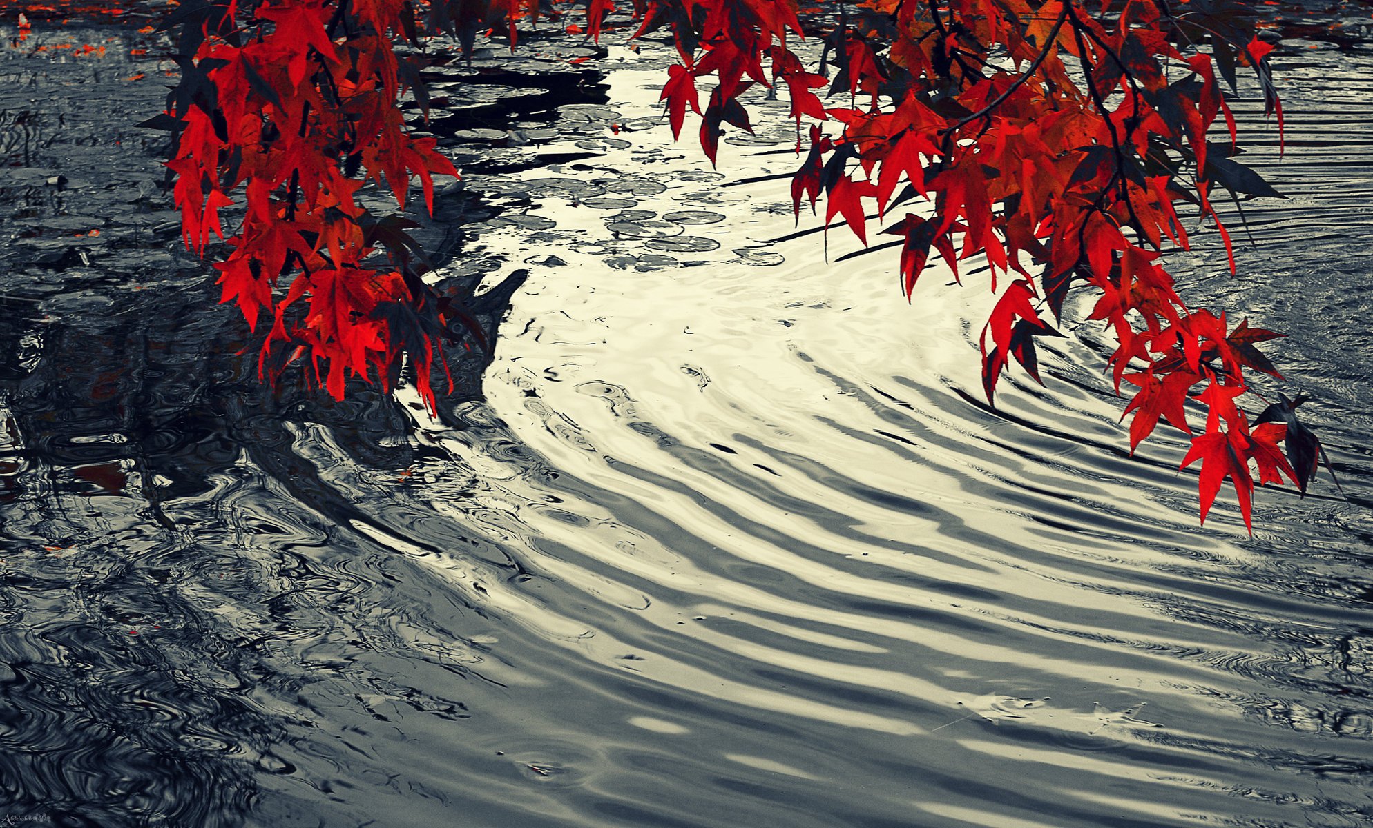 water leave