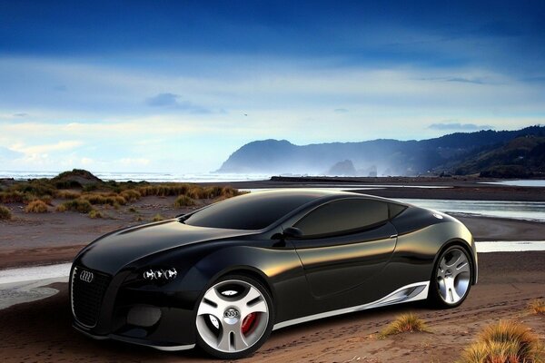 Audi on the riverbank in the desert