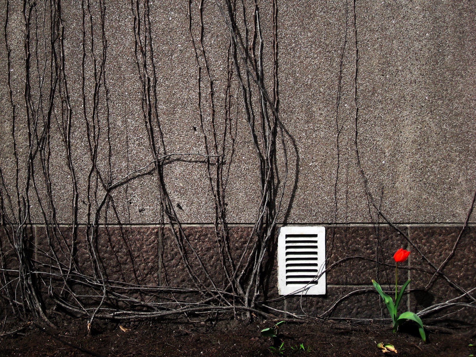 wall branches ventilation flower