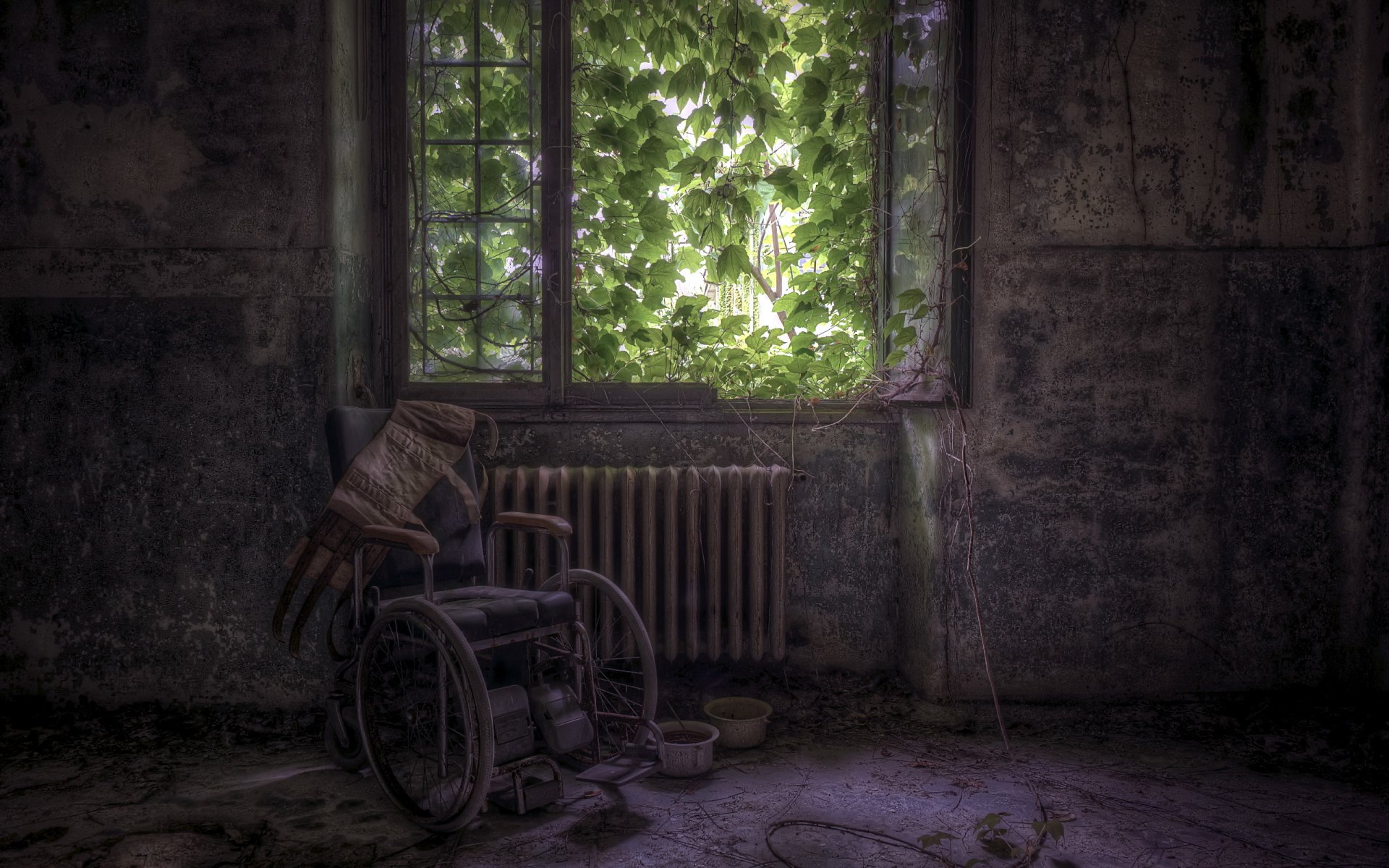 room window wheel-chair