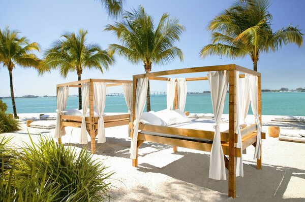 Sunny beach with beds under palm trees