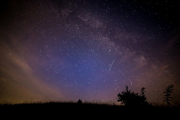 Glade at night against the background of space