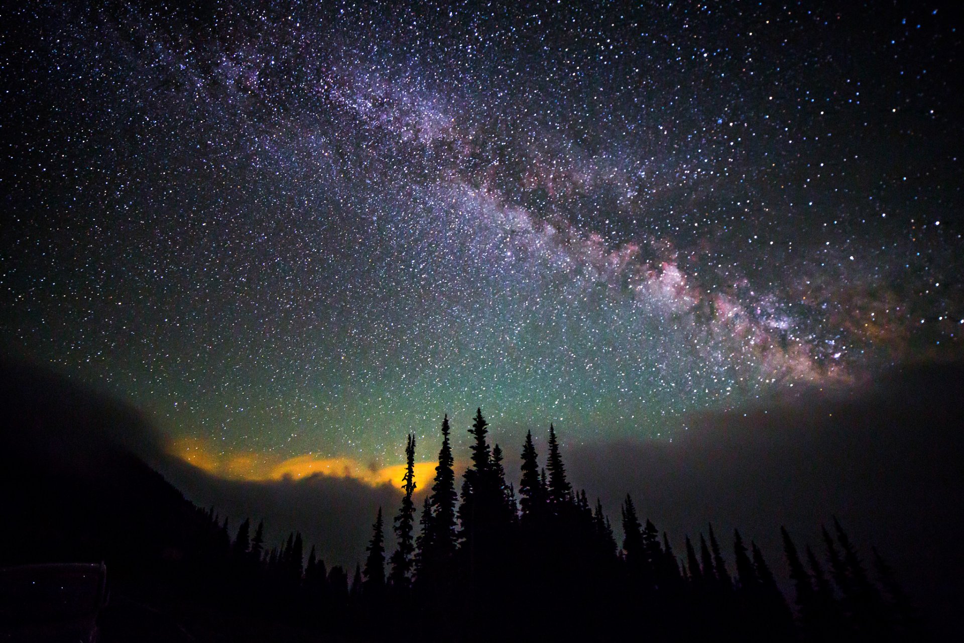 cosmos stars night space milky way sky tree