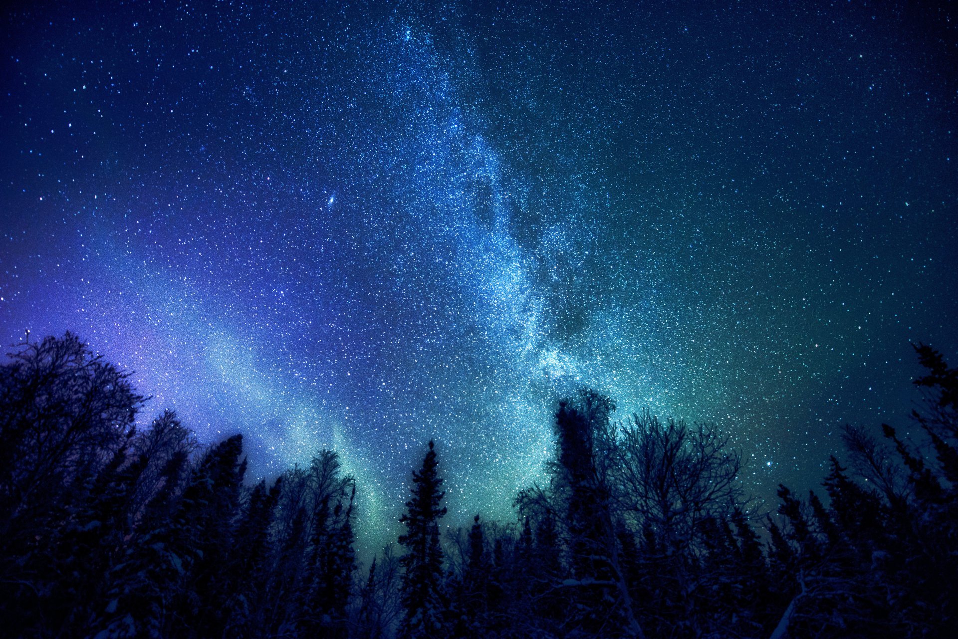 milky way space forest tree star mystery