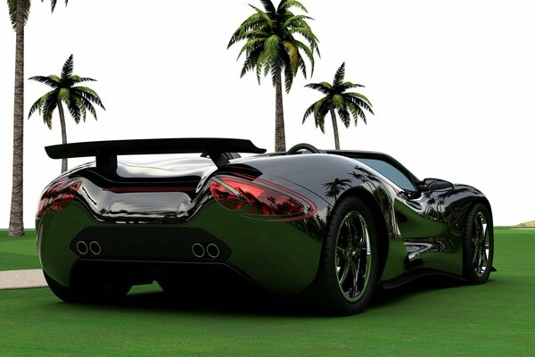 The supercar is on the grass
