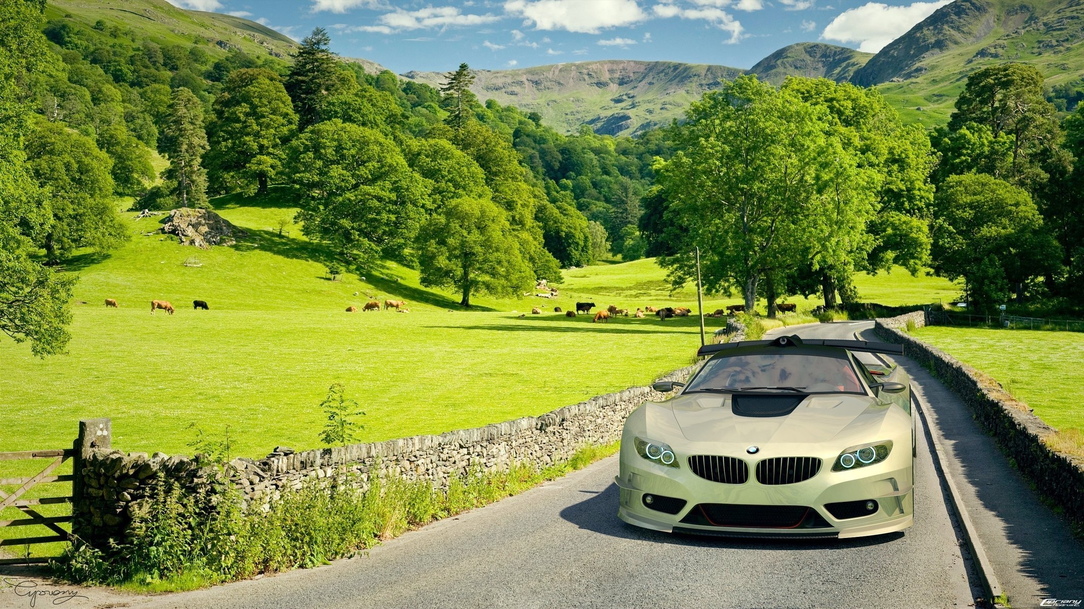 field bmw car car car bmw