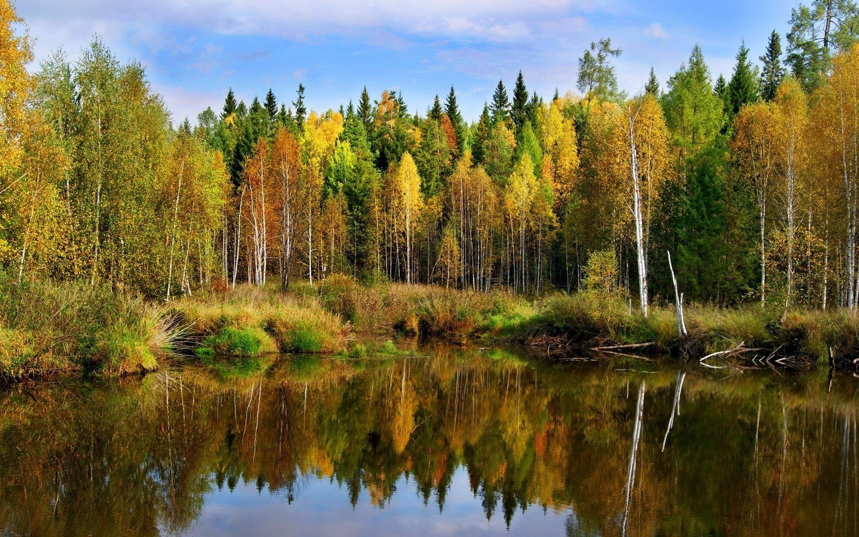 landscape autumn pond forest