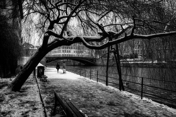 France, Strasbourg snow and passersby cb