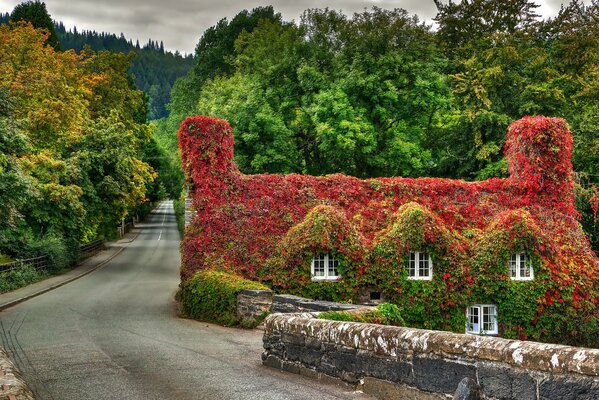 Nature is very beautiful with its landscape