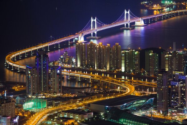Night city bridge lights lanterns