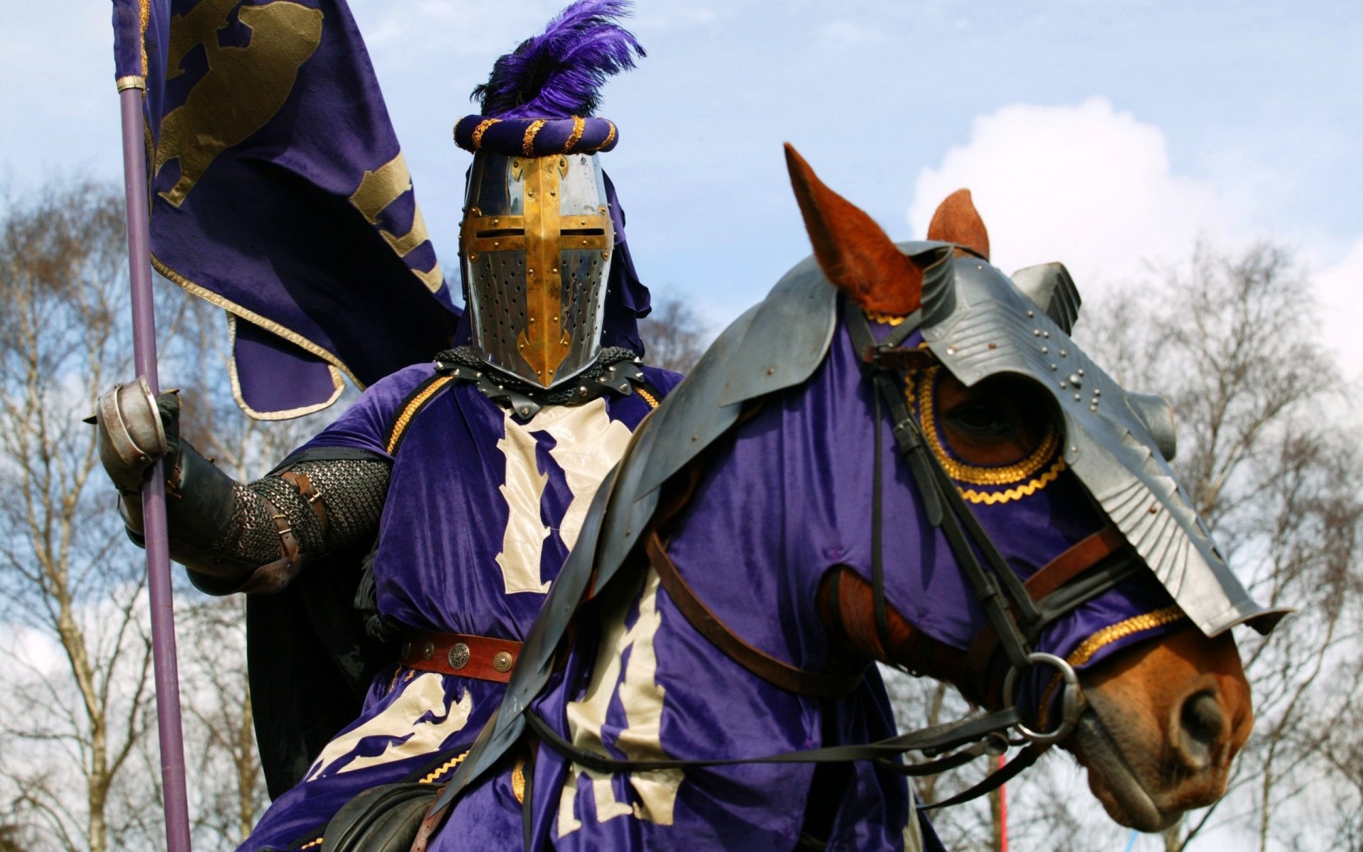 this club horses old man horse historical warrior on military knight