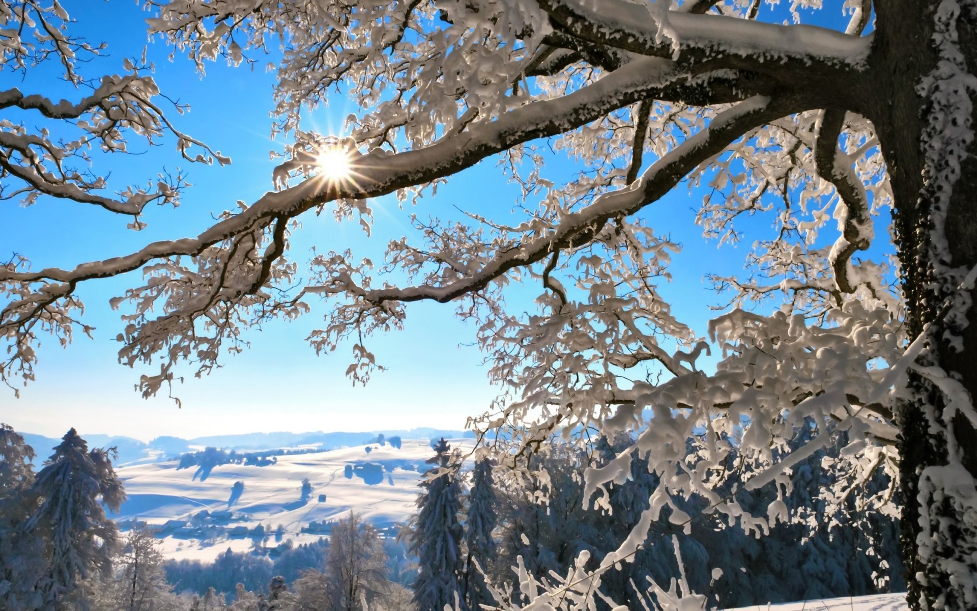 winter nature landscape snow new year