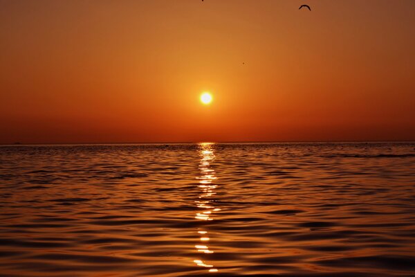 Beautiful sunset on vacation