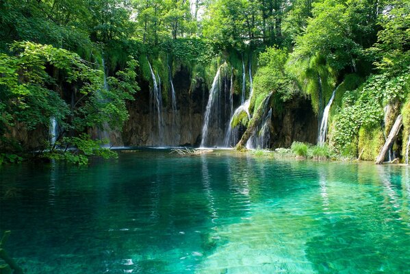 Beautiful view of the pond with a waterfall