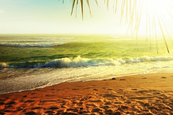 Footprints in the sand are washed away by the wave