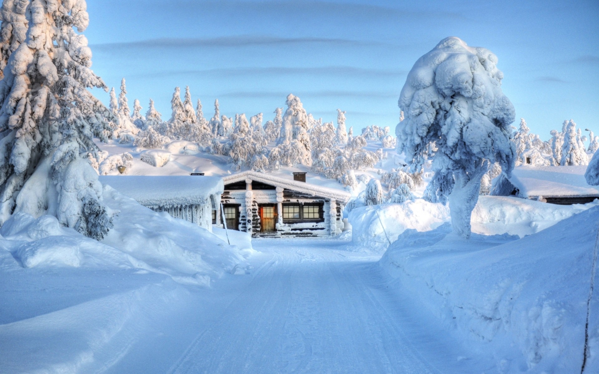 winter house snow building tree frost landscape