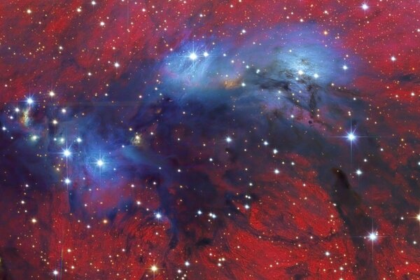 Cosmos beautiful view of the constellation Cygnus