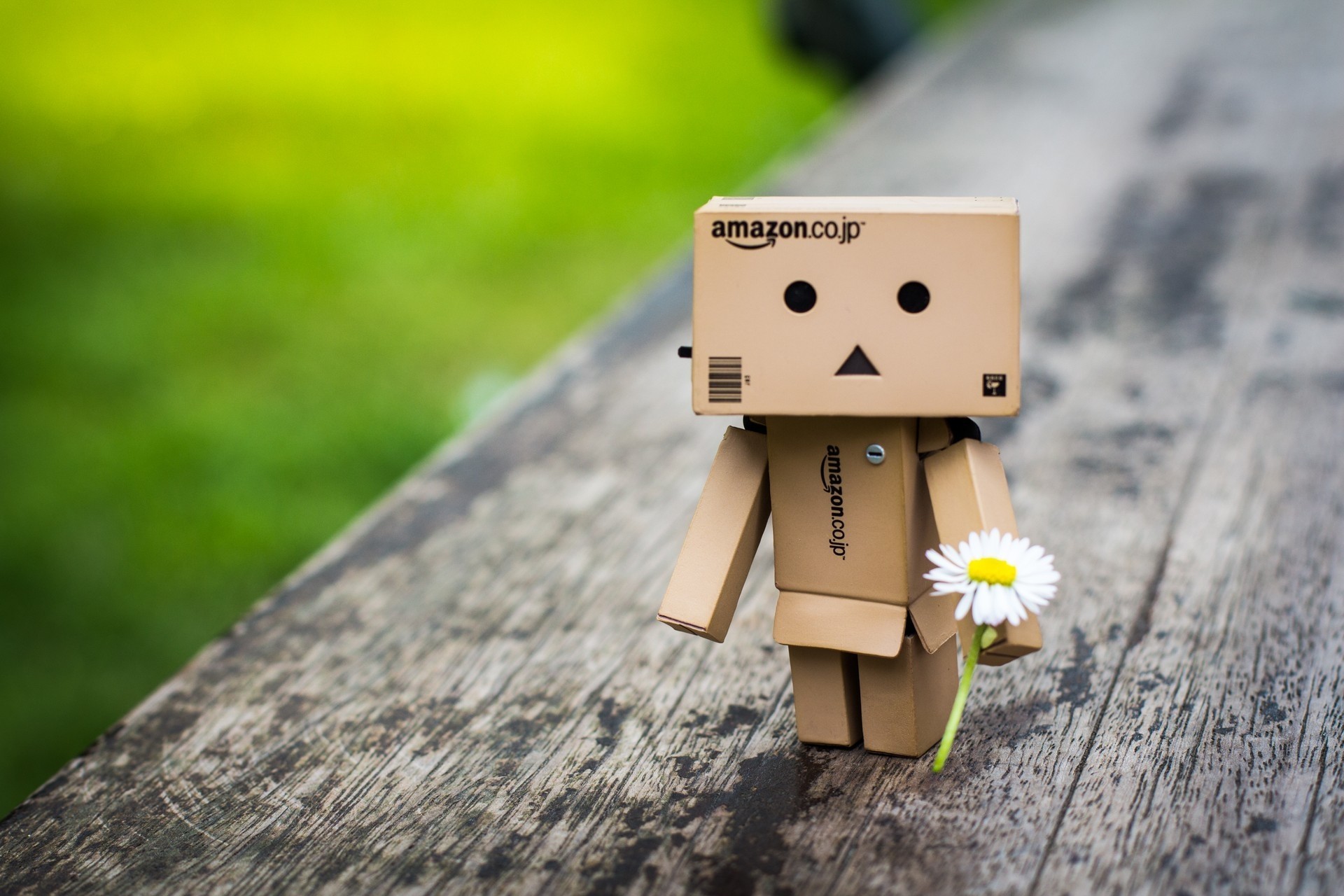 danbo wood flower