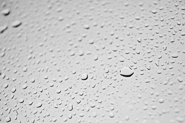 Water drops on a light gray background