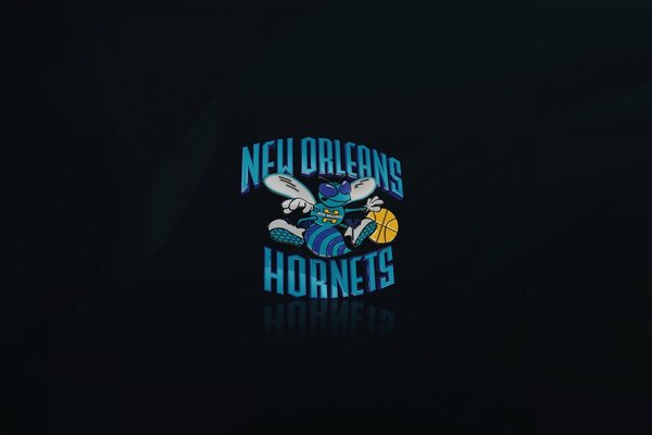New Orleans Basketball Team Logo