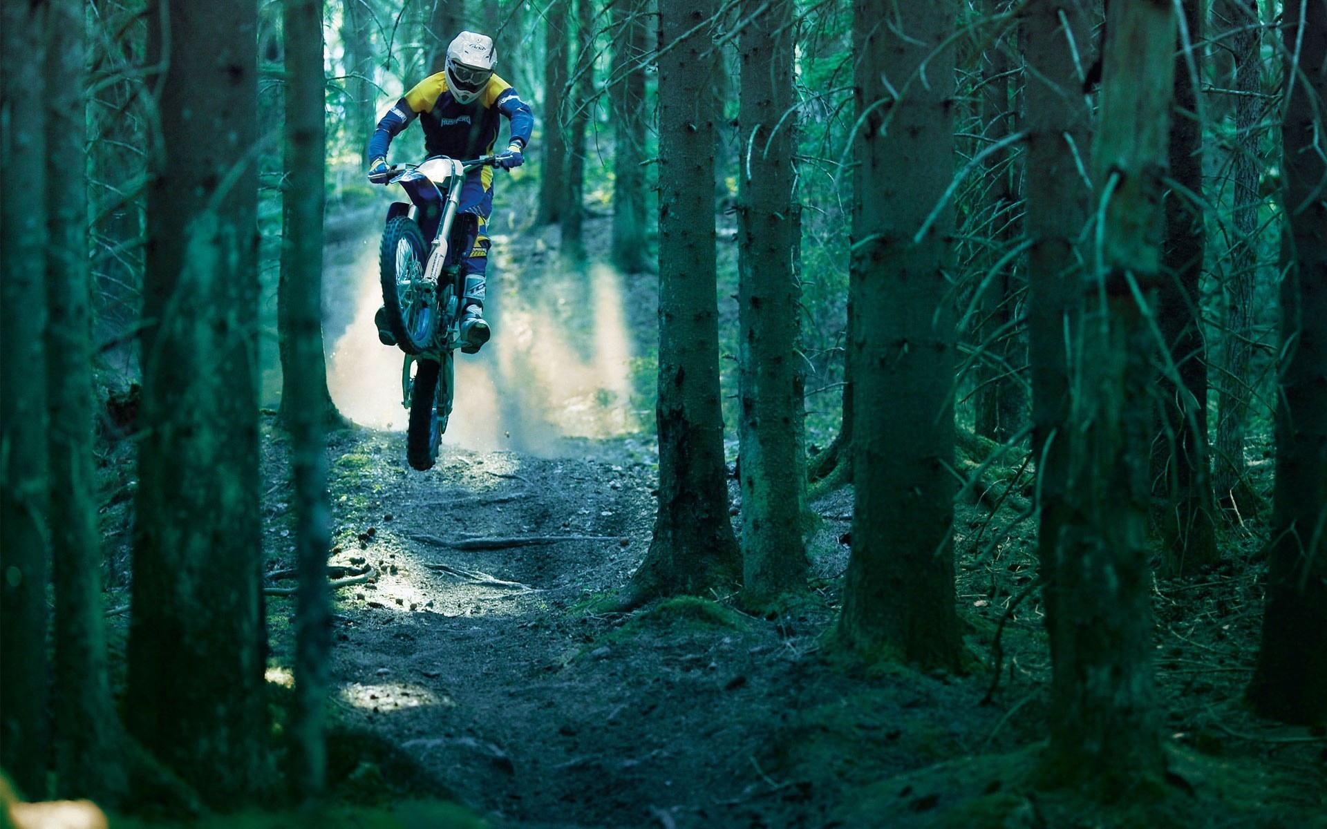 bike jump forest