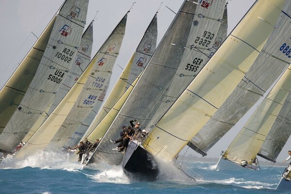 A sporty look at the races