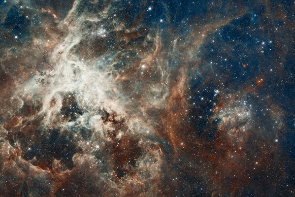 The star nebula of the constellation goldfish