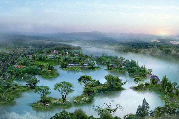 Swamp from a bird s-eye view