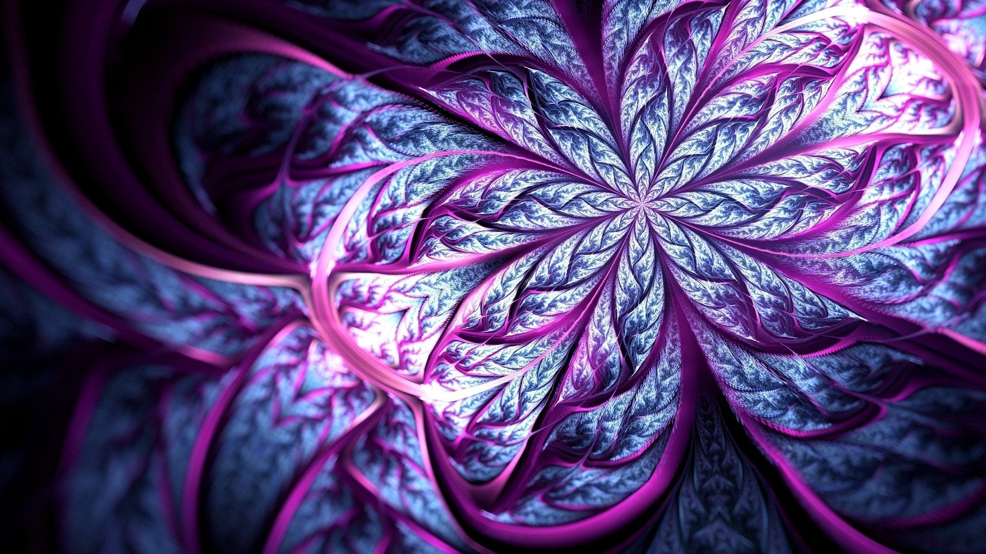 blur art flower line petal