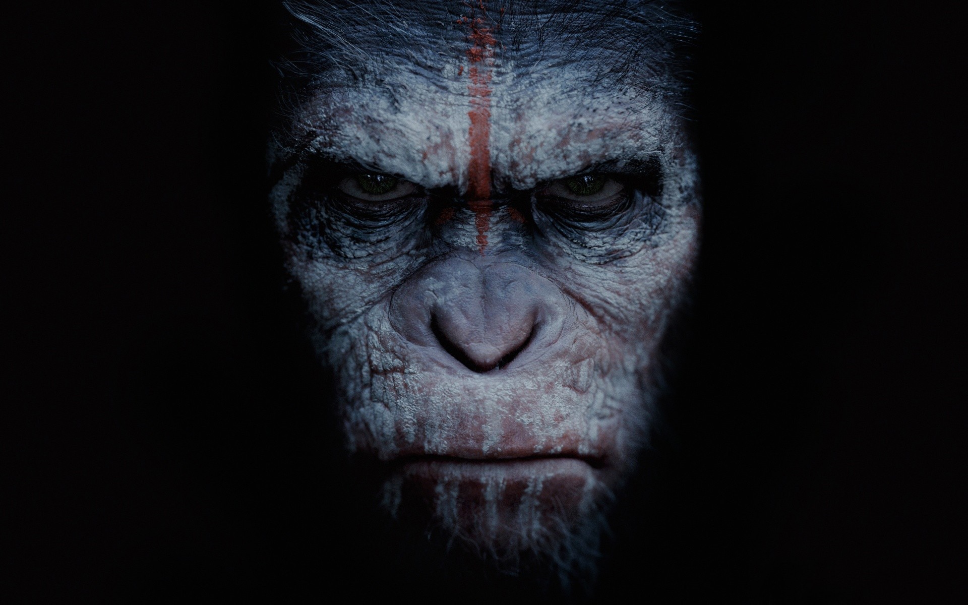 planet of the apes revolution views animals fiction monkey