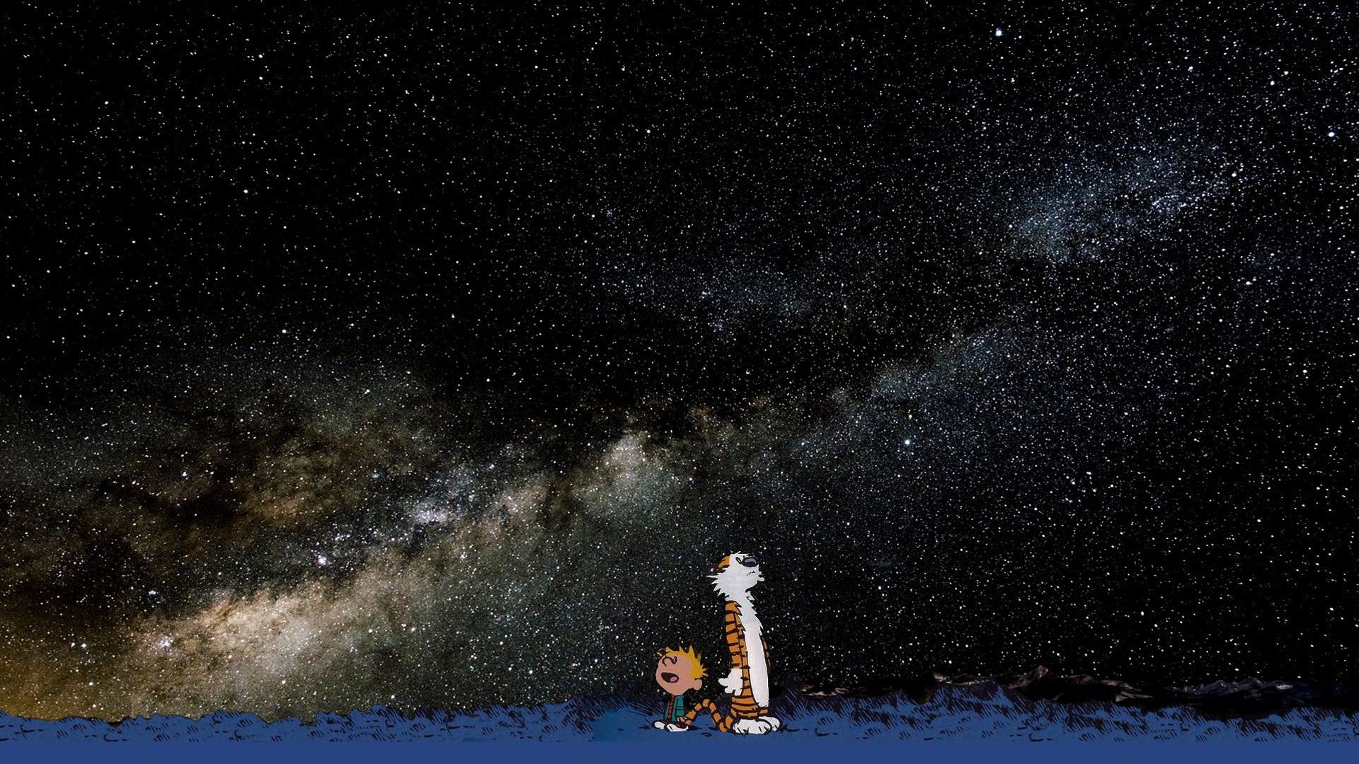 calvin and hobbes calvin and hobbes hobbes boy stars tiger