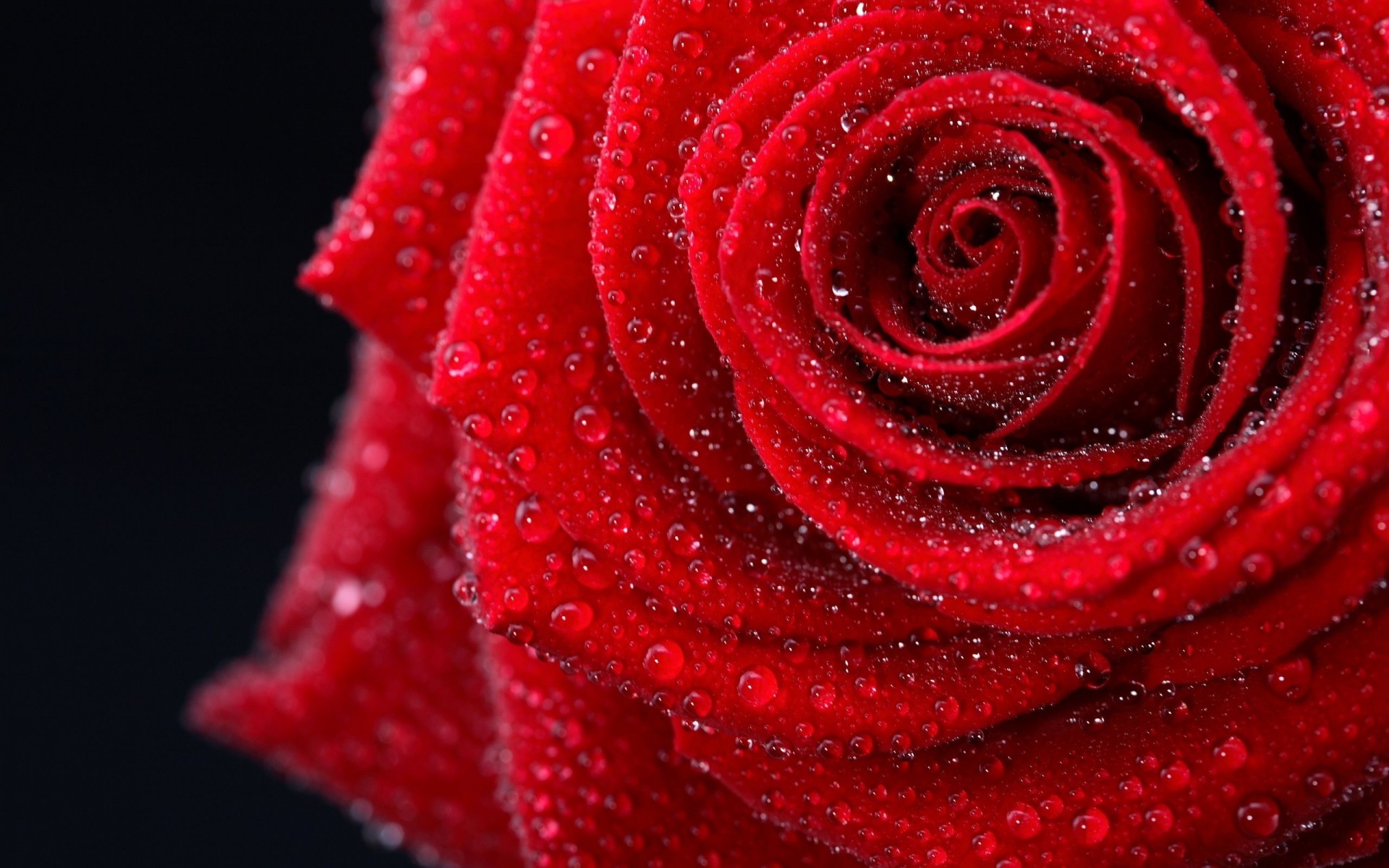 thin paint amazing beauty black background beautiful
