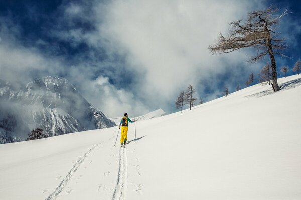 Skier on a mountain peak