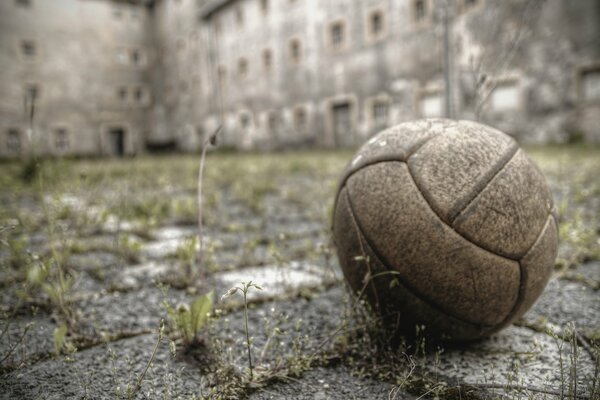 A forgotten ball in an abandoned yard