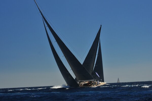 Those who are engaged in sailing yachts participate in the regatta at sea