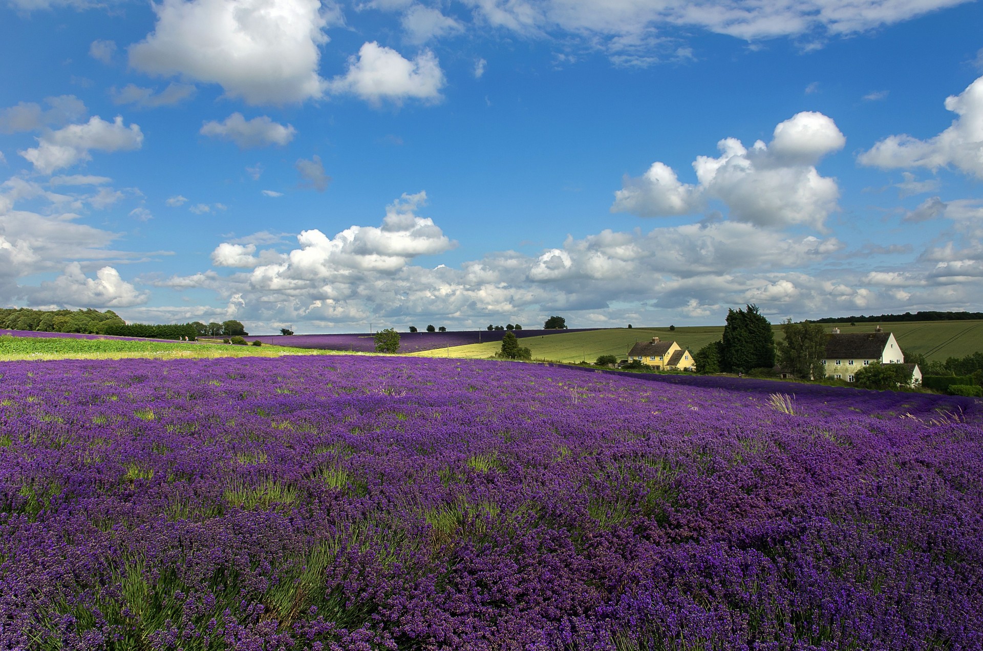 landscape tuscany clouds flower sky house