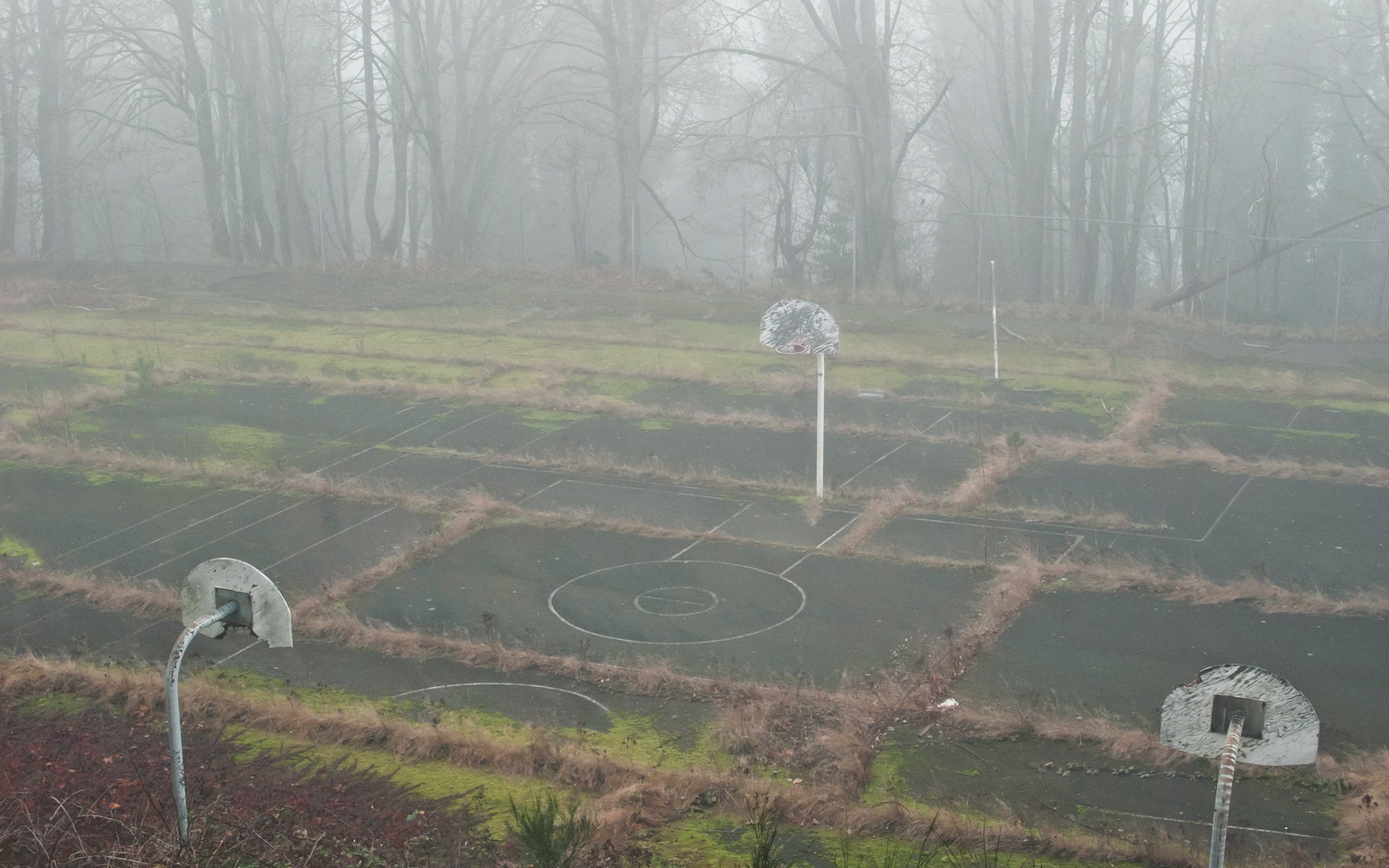 marketplace fog sport