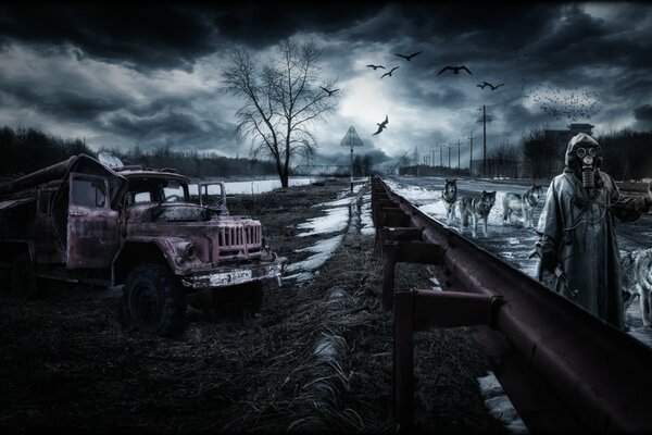 A pack of wolves and a man in the apocalypse
