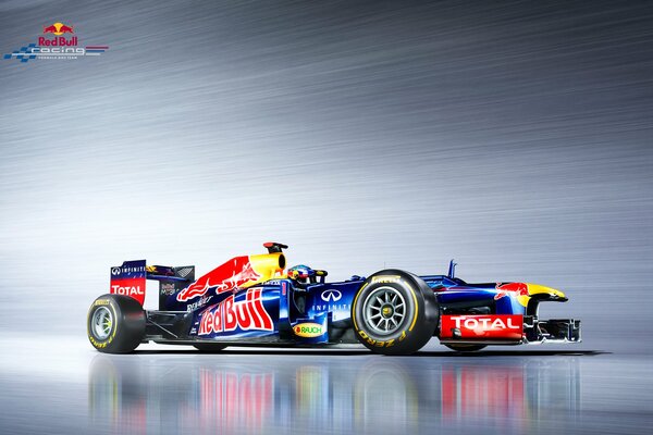 Sebastian Vettel s F1 car