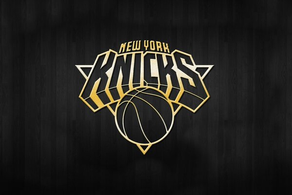 Concise and beautiful basketball club logo