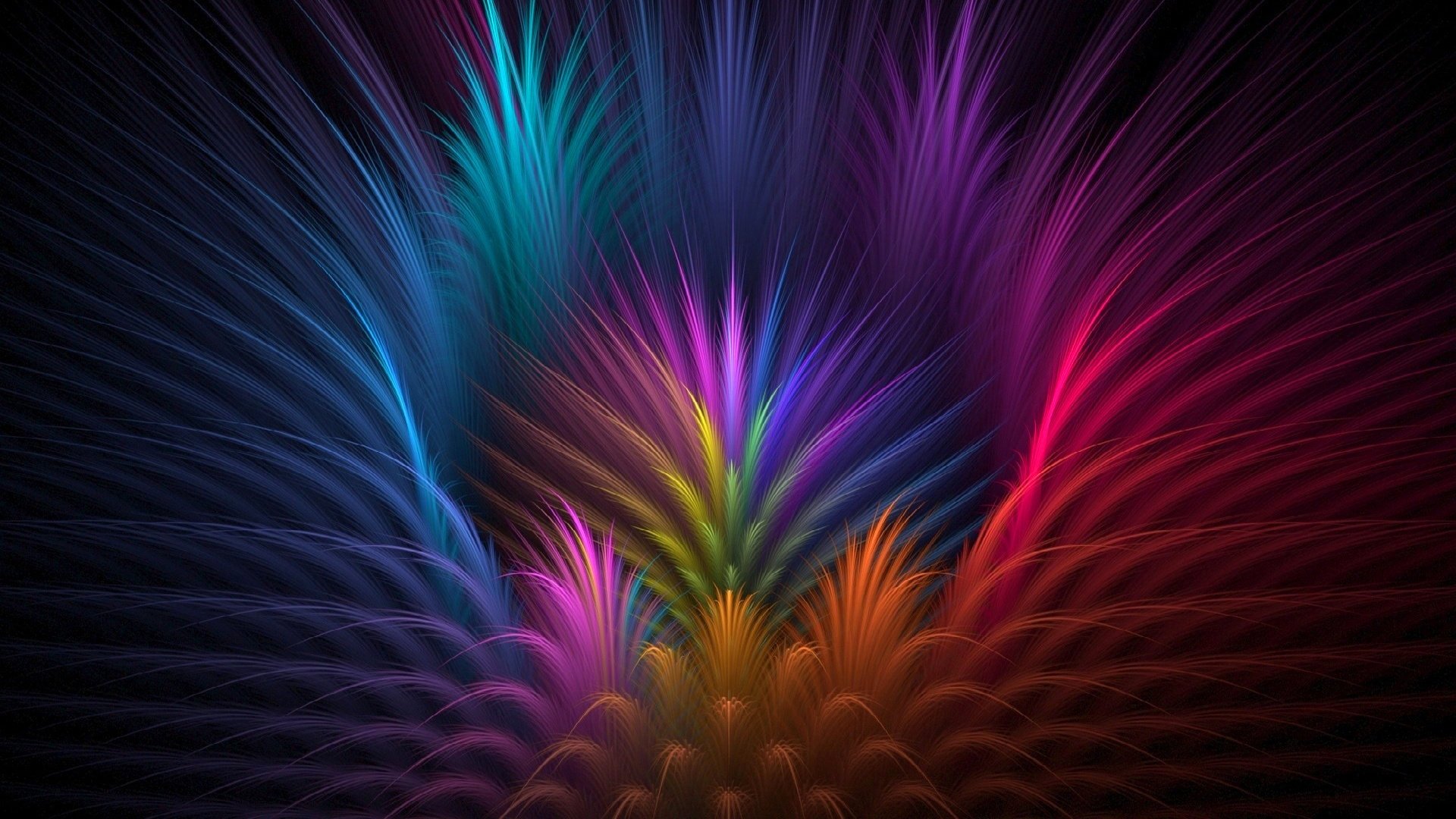 color light rays petals line feathers the volume flower