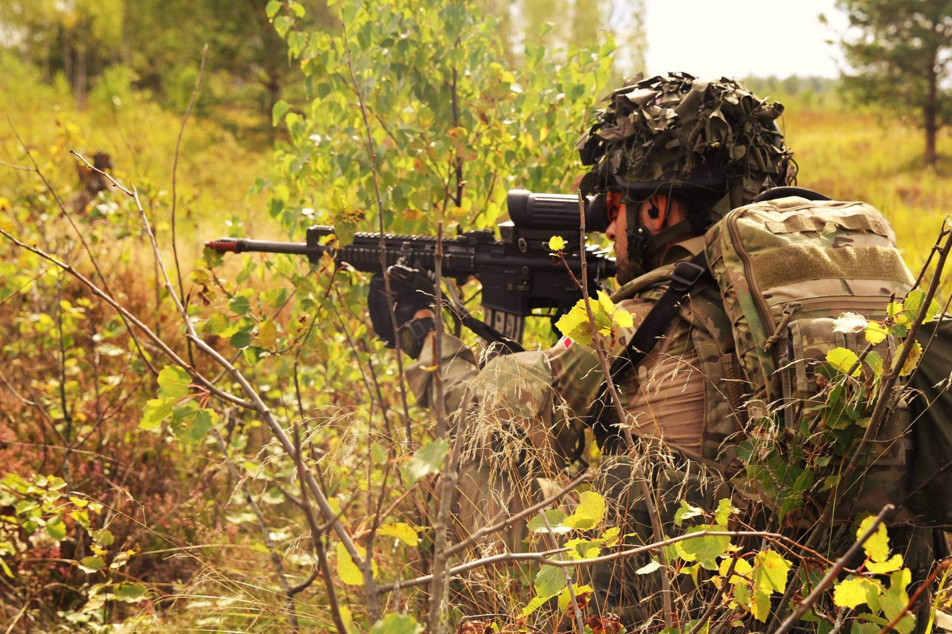 danish army men weapon