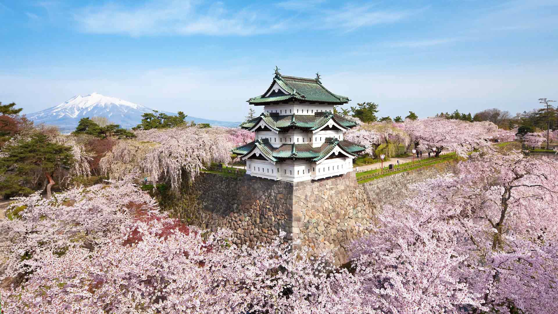 pring japan flowering